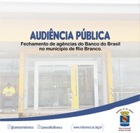  AUDIÊNCIA PÚBLICA