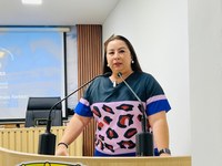Elzinha Mendonça cobra fortalecimento de políticas voltadas ao combate a violência doméstica
