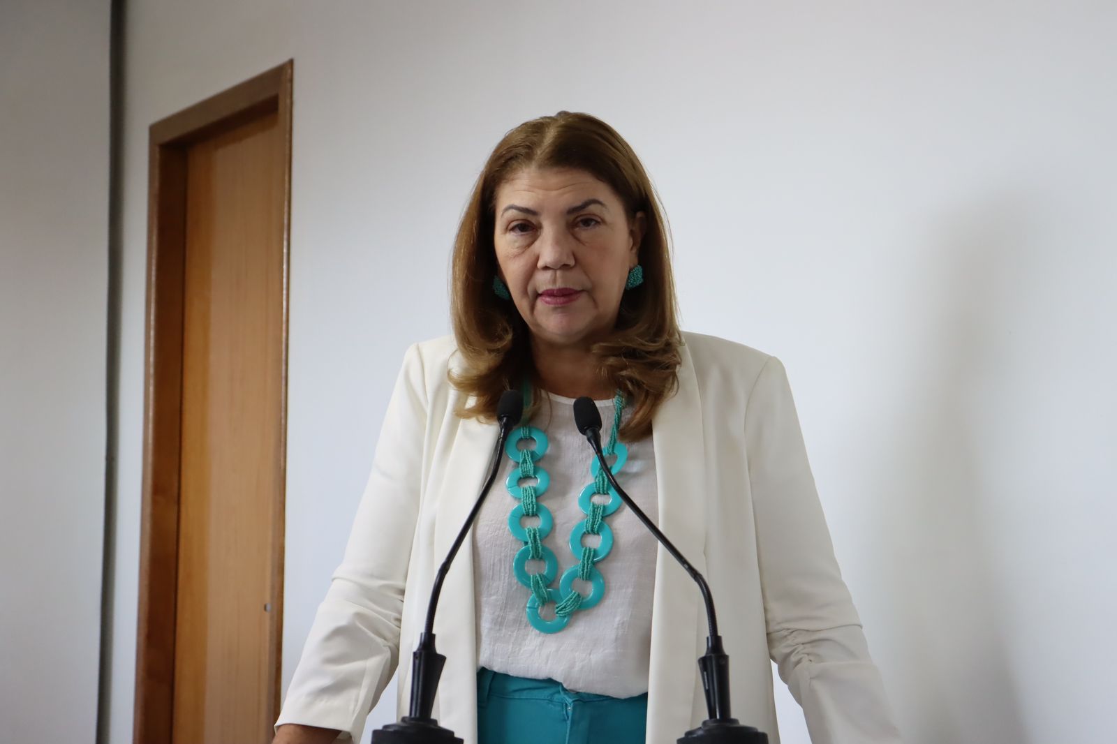 Lene Petecão cobra fortalecimento de ações voltadas a combater a violência contra a mulher 