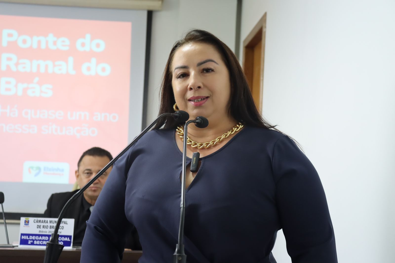 Vereadora Elzinha pede inclusão da Cultura na LOA 2024: "fomento aos fazedores de cultura"
